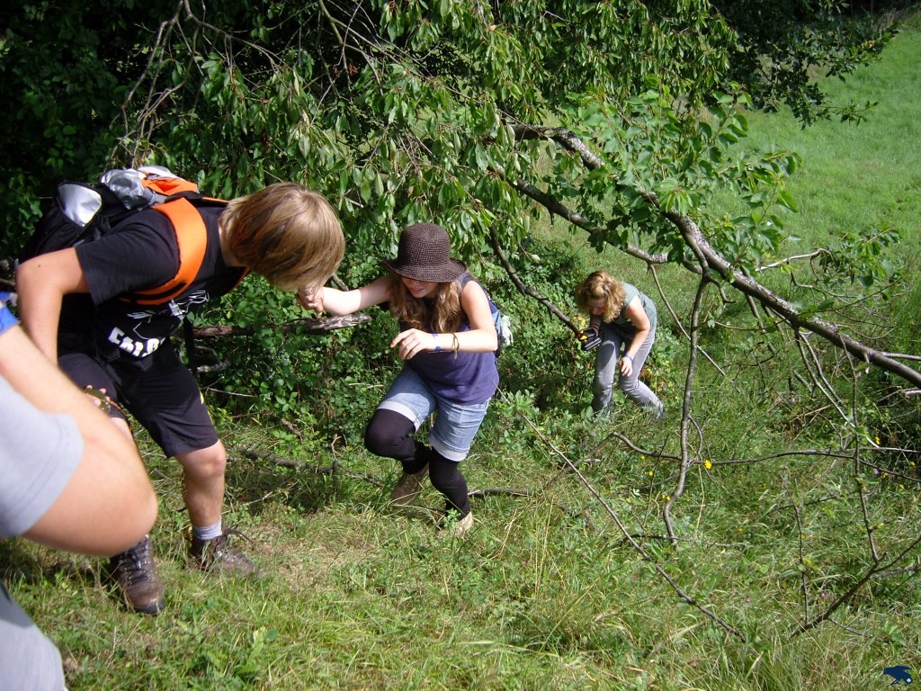 2010_zl_stephie_009