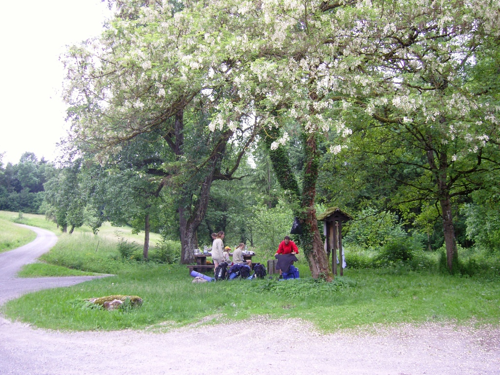 2010_hajk_stephie_006